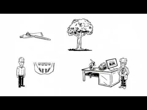 All on 4 Treatment Concept Video Thumbnail